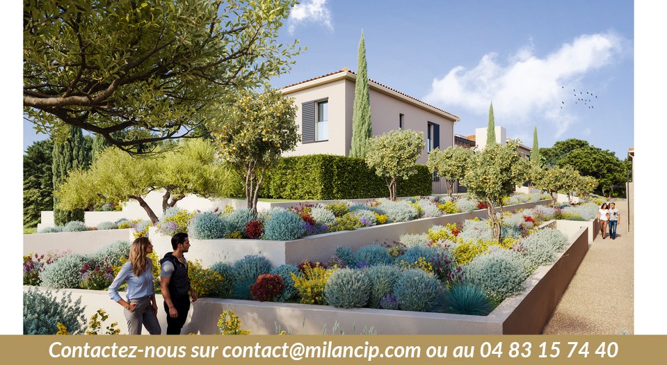 Programme neuf à Biot — jardin en restanques planté d'oliviers et d'agrumes