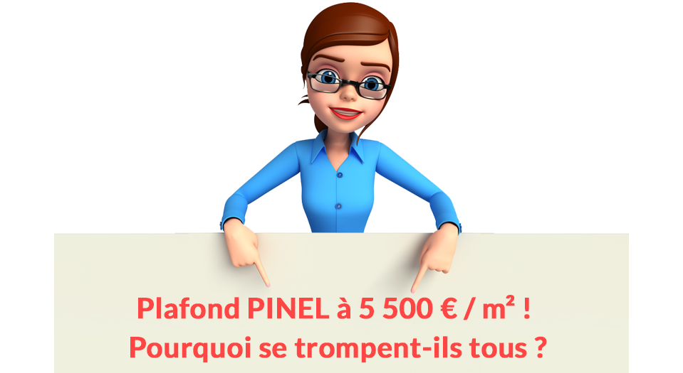 Plafond PINEL de 5 500 € : Pourquoi se trompent-ils tous ?